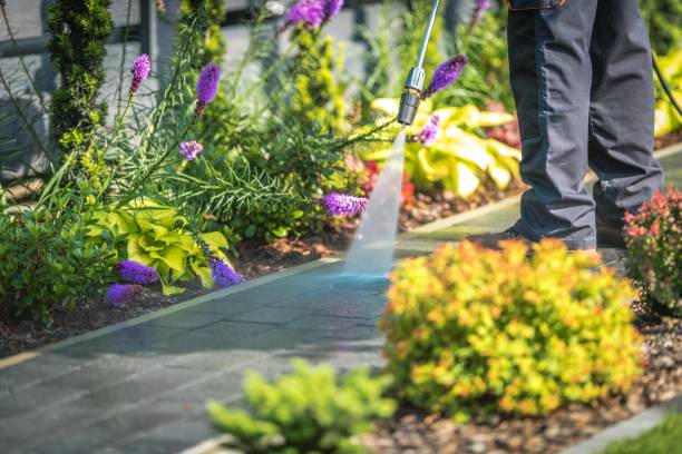 Best Patio and Deck Pressure Washing  in Warren, IN